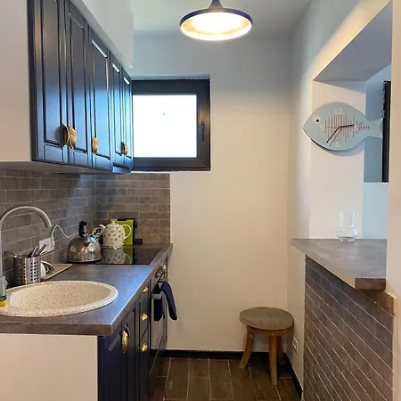 Sunny With Side View To The Danube Sulina