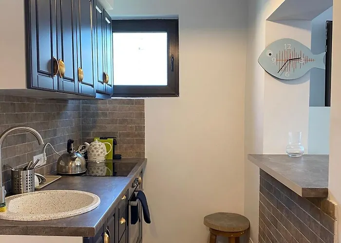 Sunny With Side View To The Danube Sulina